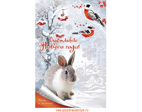С Новым 2011 годом!