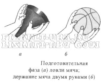 Ловля мяча двумя руками в баскетболе