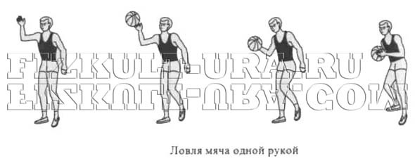 Ловля мяча одной рукой в баскетболе